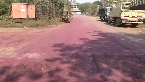 डोंबिवलीतील गुलाबी रस्त्याची मुख्यमंत्र्यांकडून पाहणी