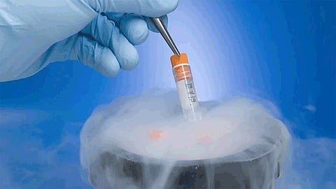 alternative to stem cell therapy option on corona corona virus