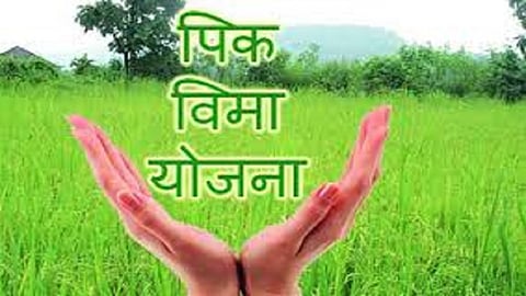 Prime Minister gricultural Insurance Scheme in Konkan is not getting good response