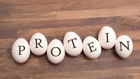 Rapidly spread of malaria due to estin protein Indian doctors research