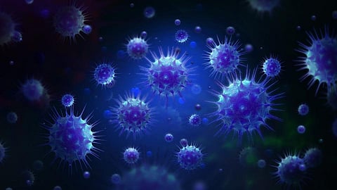 pune covid positive patients 325 today news