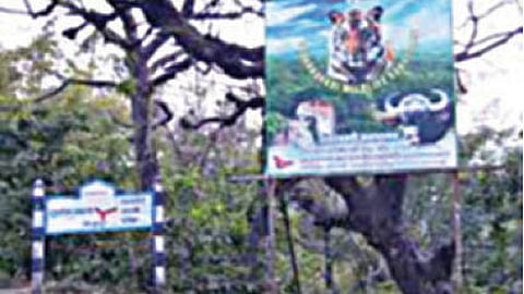 Action against teachers in Radhanagari Sanctuary