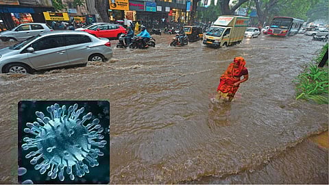आधीच कोरोना, त्यात पावसाळी साथरोग पसरल्यास होईल "ही" अडचण!