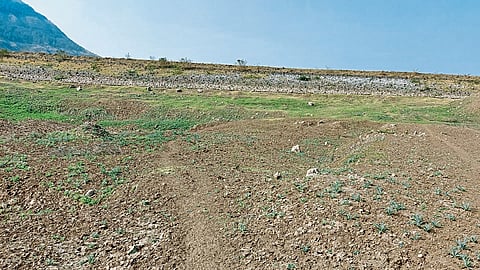 Satara Latest Marathi News Satara News