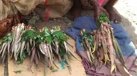 ranbhaji.jpg