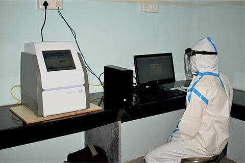 rapid test