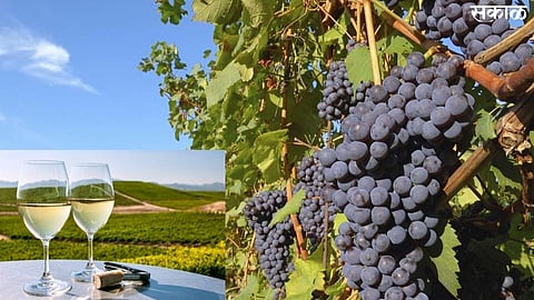 California Toursit Places