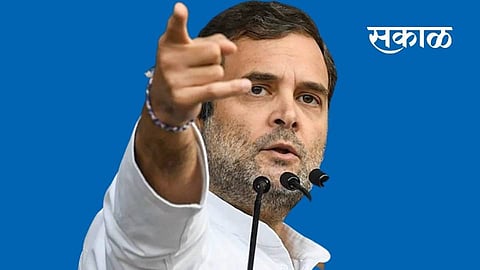 actress swara bhaskar called Rahul Gandhi sweet in her tweet post viral on social media
