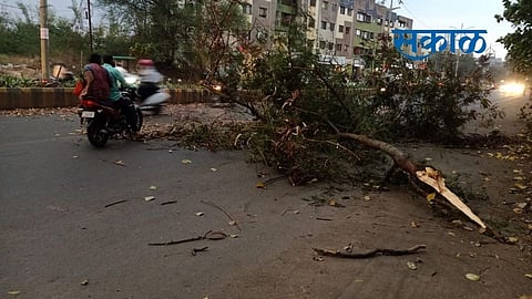 sakal (33).jpg