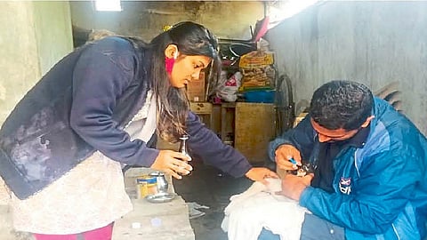 youngsters help to animal with the help of foundation in sangli