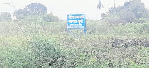 file photo
