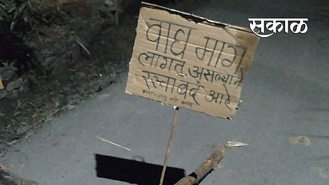 बापरे, बिबट्यांनी केली पुण्यातील 'या' गावातील रस्त्याची वाहतूक बंद