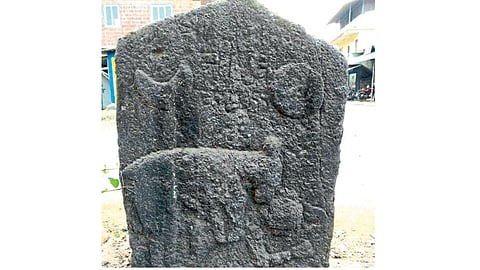 Historical Sting Or Harp Found In Devrukha Kokan Marathi News