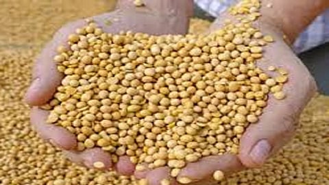 Farmers are being robbed from the soyabean shopping center