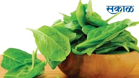 spinach