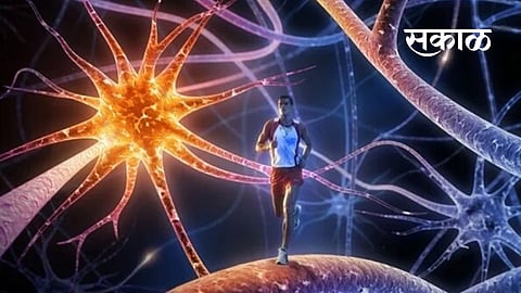 how to make career in sports psychology in india nagpur news