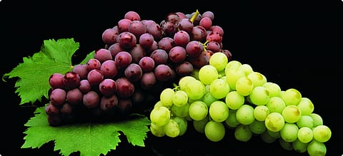 grapes