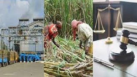 Crime on the sugar factory MD kolhapur marathi news