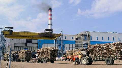 सोलापूर जिल्ह्यातील साखर कारखानदार ऊसदराबाबत गप्प का? शेतकऱ्यांचा सवाल