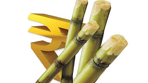 sugarcane FRP