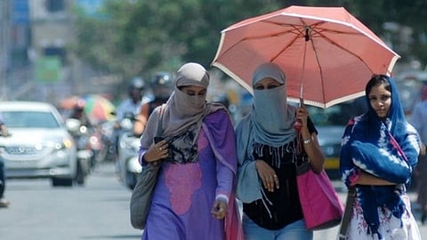 temperature of summer increased day by day in sangli effect on crop