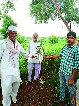 कोरोनाने शिकविले नैसर्गिक ऑक्सिजनचे महत्त्व, आणि झाडे लावण्याचा घेतला वसा !