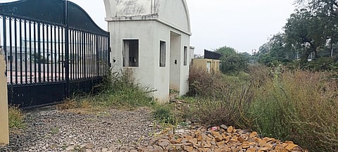 Akola News: The victim of Temple Garden took a business attitude