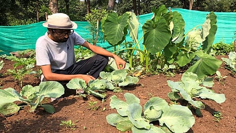 Admission to agriculture is also like engineering education student state govt