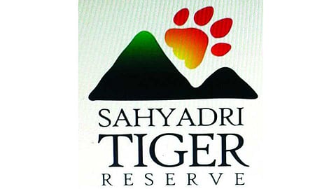 बोगस पदभरती प्रकरणात चौकशी समिती; तत्कालीन अधिकाऱ्यांकडे चौकशीचा तगादा