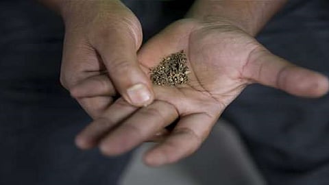 बायकोची तंबाखूची सवय नवऱ्याला पटत नसेल तर घटस्फोट मिळतो का ? उच्च न्यायालयाने दिला निकाल