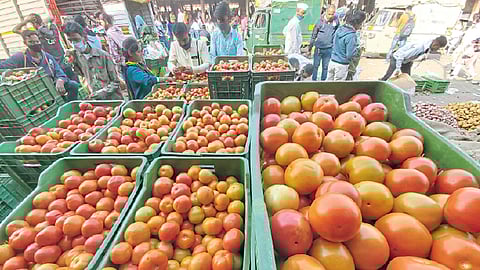 भाजीपाल्याचे दर स्थिर;वांगी दरात सुधारणा