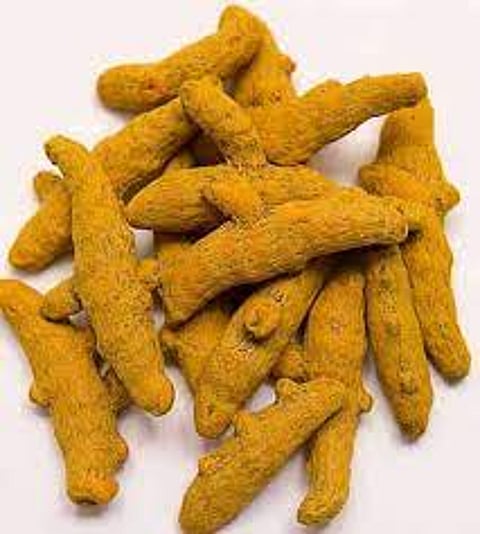turmeric sangli.jpg