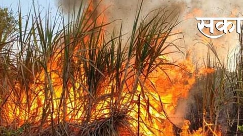 Three farmers suffered heavy losses due to fire in sugarcane farm