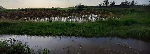vairag soyabean nuksan.jpg