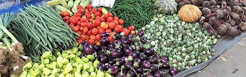 Rotor rotated on crops; hit's vegetable growers