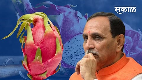 vijay rupani
