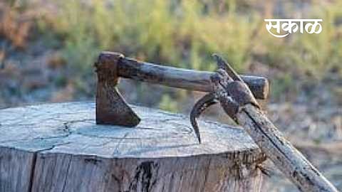 देवझिरी वनक्षेत्रात सागवान तस्करांनी वन विभागाच्या पथकावर केला हल्ला !