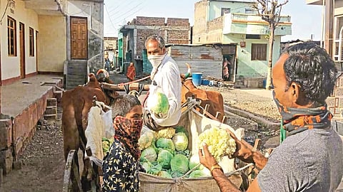 वालसावंगी ः बैलगाडीतून भाजीपाल्याची विक्री करताना शेतकरी भगवान कोथलकर.