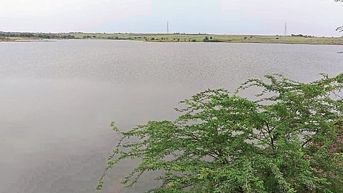 कोयना-कृष्णा नद्यांच्या पाणी पातळीत वाढ