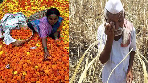 farmers did not get price for flowers from businessmen