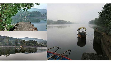 मनातल्या मोराची त्या मोराशी दृष्टभेट होईल का?