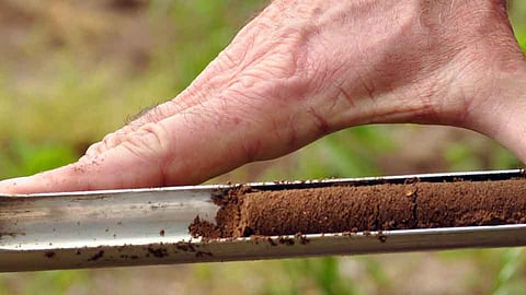 Decrease In Proportion Of Different Components In Soil Ratnagiri Marathi News