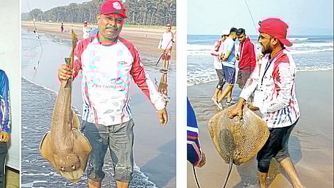 More than 10 KG Wagali Fish Win in Surf Fishing Competition