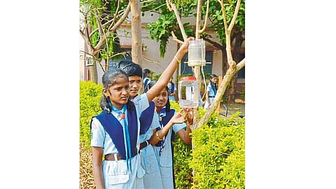 विसापूर - रा. शा. माने-पाटील विद्यालयात स्काऊट पथकांने पक्ष्यांना चारा-पाण्याची सोय केली.