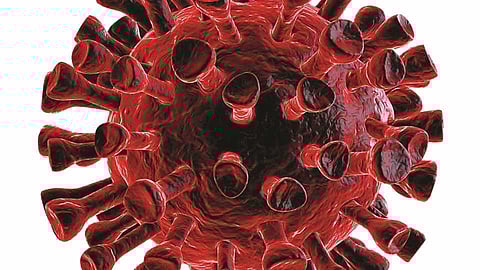 Nilang Corona News, Latur