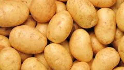 Akola News: Potato prices rise; 60 in the market. Per kg