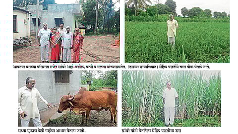 शंभर टक्के सेंद्रिय, सुपीक शेतीची पंचविशी