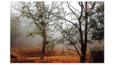 सकाळी हुडहुडी, दुपारी तडाखा
