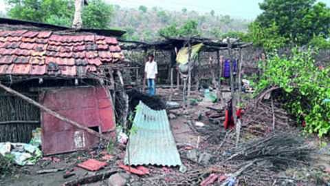 संग्रहीत छायाचित्र