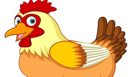 दहिवडीत गावठी मिळेना अन् बॉयलरचा वधारला भाव